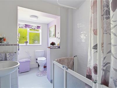 Picture 7